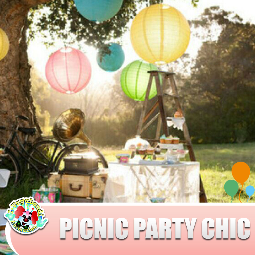 animazione-festa-deluxe-picnic-chic
